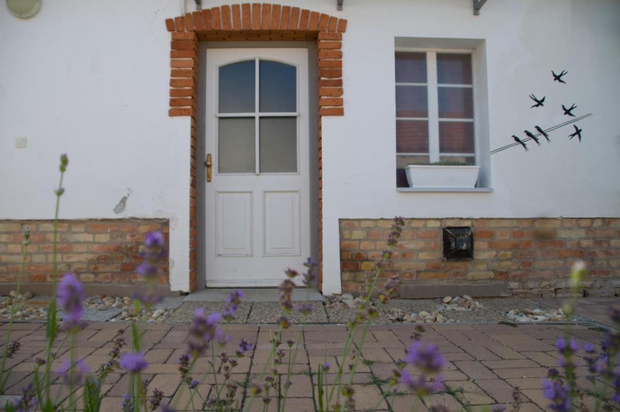 Notas Tuecsoek Vendeghaz Apartment Agyagosszergeny Exterior photo